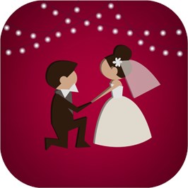 Индивидуальное приложение на свадьбу с бюджетом, гостями, фото Wedding05