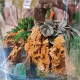 Большой флорариум с бонсаем "необитаемый остров" Flo12