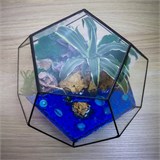 Додэкаэдр с тропиками, водоёмом и рыбаком Flo02