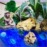 Додэкаэдр с тропиками, водоёмом и рыбаком Flo02