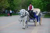 Извинение перед девушкой или парнем - придумаем, реализуем ЧФ19РМ7