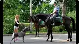 Катание детей на маленьких лошадках (не пони) МАСЛЕНИЦА7