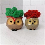 Кашпо "Совушки" NEW5