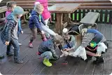 Квест Кругосветное Путешествие - Вокруг Света за 1-2 ч. К2КВ1КД1