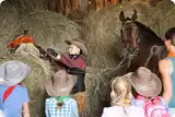 Ковбойский выездной квест - Дикий Запад K4КВ4КД4