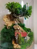 МОССАРИУМ (30 на 20 см) NEW6