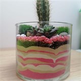 Мини - флорариум с кактусом Flo01