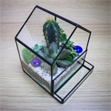 Небольшой полигональный флорариум "визитница" Flo03