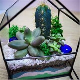 Небольшой полигональный флорариум "визитница" Flo03