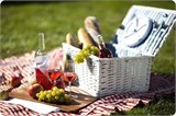 Организация пикника на природе РМ10