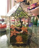 Организация целой недели сюрпризов, розыгрышей и подарков С17Р25ПД32