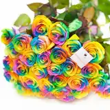 Разноцветные розы из Голландии Ц2