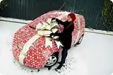 Розыгрыш - пранк "спрятанный автомобиль" Р28ПД38