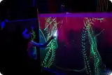 Световые картины Ш12