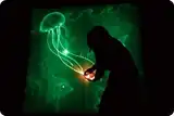 Световые картины Ш12