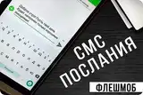Смс-флешмоб с поздравлениями и/или звонок от ВВП СМС