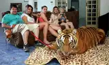 Сюрприз, поздравление с праздником онлайн (удаленно) КАРАНТИН1