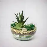 Флорариум "Весенняя свежесть" NEW12