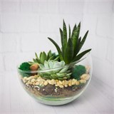 Флорариум "Весенняя свежесть" NEW12