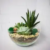 Флорариум "Весенняя свежесть" NEW12