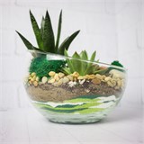 Флорариум "Весенняя свежесть" NEW12