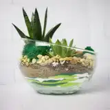 Флорариум "Весенняя свежесть" NEW12