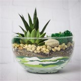 Флорариум "Весенняя свежесть" NEW12