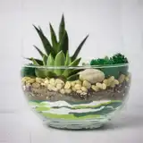 Флорариум "Весенняя свежесть" NEW12