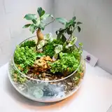 Флорариум "Долина Симплон" NEW9