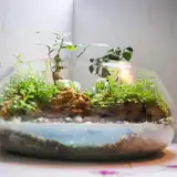 Флорариум "Долина Симплон" NEW9