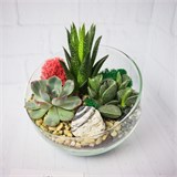 Флорариум "Зелёный оазис" NEW11