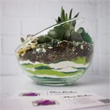 Флорариум "Зелёный оазис" NEW11