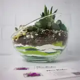 Флорариум "Зелёный оазис" NEW11