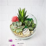 Флорариум "Зелёный оазис" NEW11