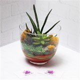 Флорариум "Индеец" NEW1