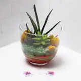 Флорариум "Индеец" NEW1