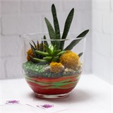 Флорариум "Индеец" NEW1