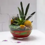 Флорариум "Индеец" NEW1