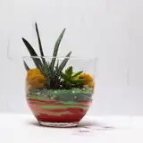 Флорариум "Индеец" NEW1