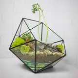 Флорариум "Королева суккулентов" NEW3