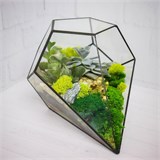 Флорариум "Космический гость" NEW10