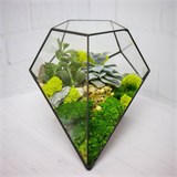 Флорариум "Космический гость" NEW10