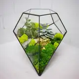 Флорариум "Космический гость" NEW10