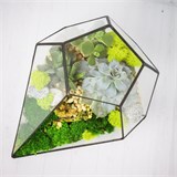 Флорариум "Космический гость" NEW10