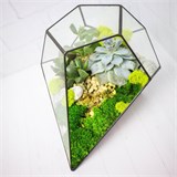 Флорариум "Космический гость" NEW10