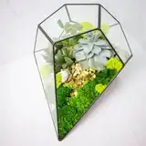Флорариум "Космический гость" NEW10