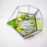 Флорариум "Космический гость" NEW10