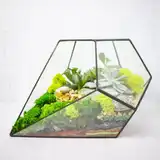 Флорариум "Космический гость" NEW10