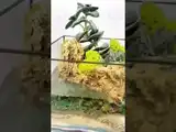 Флорариум "Куб с водоёмом" NEW2