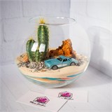 Флорариум "Подари ЕЙ мечту" NEW7